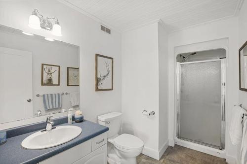 a bathroom with a sink and a toilet and a shower at Todholm Muskoka in Port Carling