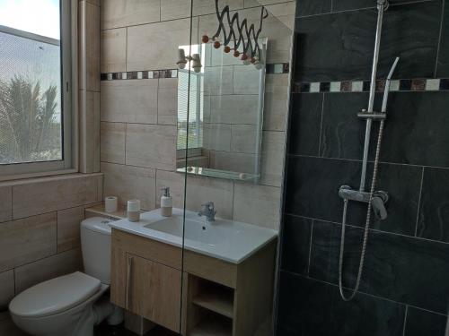 a bathroom with a toilet and a sink and a shower at GITE PEI LA VANILLE Duplex Bord de Nature in Sainte-Suzanne
