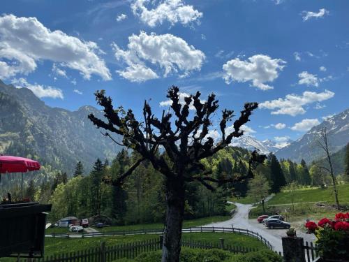 a tree sitting in the middle of a road at Alpengasthof Hotel Schwand in Oberstdorf