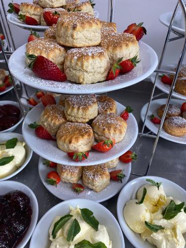 a display of plates of pastries and strawberries and desserts at Dartmoor Halfway Campsite in Newton Abbot