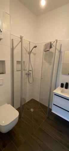 a bathroom with a shower and a toilet and a sink at Apartment im Hinterhof in Bersenbrück
