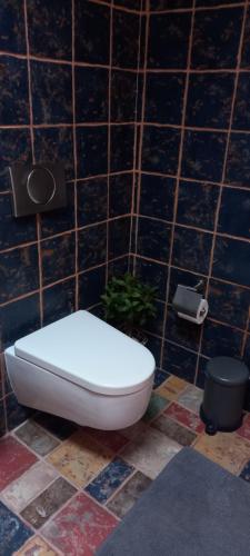 a toilet in a bathroom with a tile wall at Aτos Comfort Villa in Asos