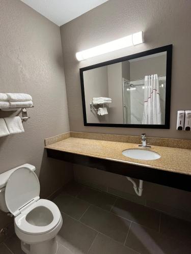 a bathroom with a toilet and a sink and a mirror at Red Roof PLUS San Antonio Northeast in San Antonio