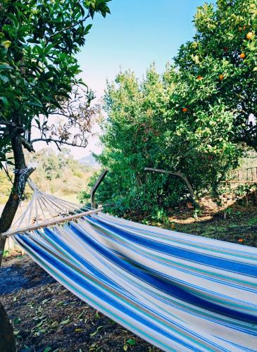 a blue hammock in the middle of two trees at Varanda do Outeiro in Melgaço