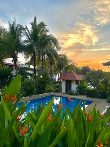 a resort swimming pool with a sunset in the background at Pura Armonia Condo With Outdoor Patio in Coco