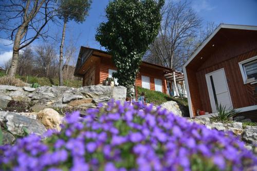 a house with purple flowers in front of it at Kuca za odmor Lola in Ivanjica