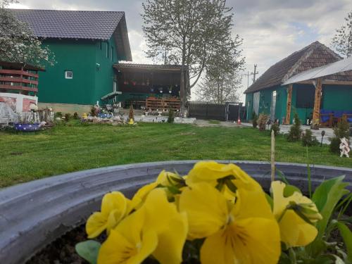 eine Gruppe gelber Blumen in einem Hof mit einem Gebäude in der Unterkunft Cabana Vânătorului 