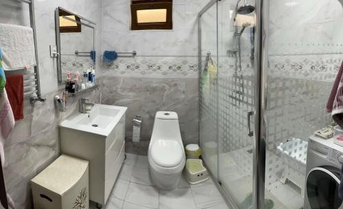 a bathroom with a shower and a toilet and a sink at Halal House VİP in Qusar