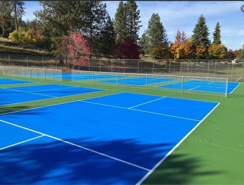 a tennis court with a blue tennis court at Stylish & Bright 4BR - Close To Whitworth in Nine Mile Falls