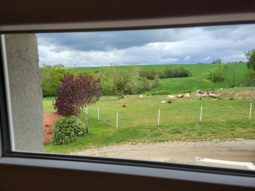 a view from a window of a field with animals at Domaine de buffevent in Cintegabelle