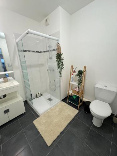 une salle de bain avec toilettes et douche en verre dans l'établissement Charmant appartement au cœur du centre ville - Marseille, à Marseille