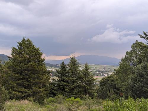 a group of trees on top of a hill at RedStone Cabin in El Oro de Hidalgo