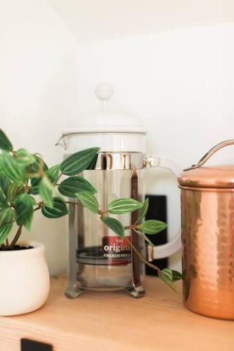 a counter with a blender and a plant on it at Le Petit Guesthouse -King Bed Walk to Whitworth in Nine Mile Falls