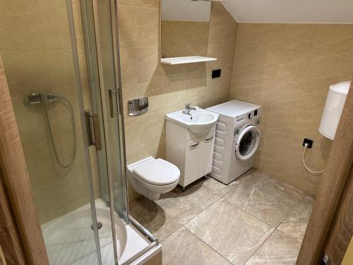 a bathroom with a toilet sink and a washing machine at SUNRISE Apartamenty in Chocicza