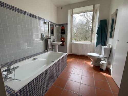 une salle de bain avec une baignoire, des toilettes et un lavabo dans l'établissement Manoir de famille proche lac, à Saint-Étienne-Cantalès
