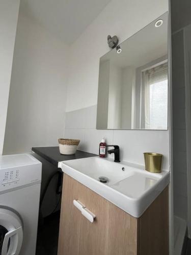 une salle de bain avec un lavabo blanc et un miroir dans l'établissement Le flowers cottage 30m² 4 personnes, à Flers-lez-Lille