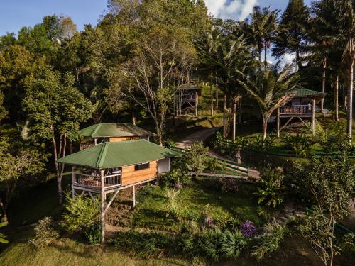 Landskap semula jadi dekat dengan hotel