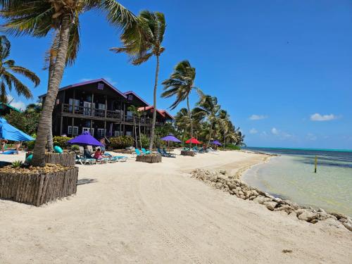 a beach with palm trees and a hotel at X'tan Ha- The Waterfront in San Pedro