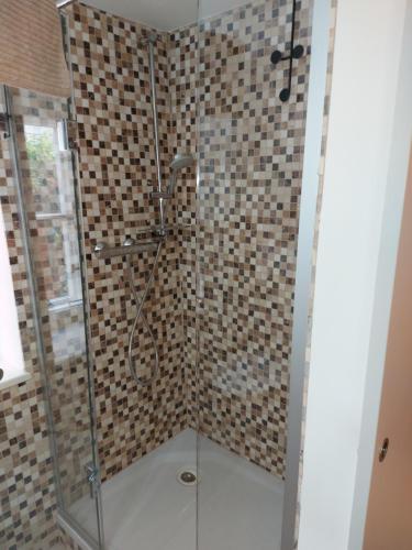 a shower with a glass door in a bathroom at Haus Catull in Klosterneuburg