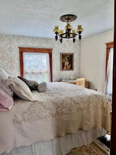 a bedroom with a large bed and a chandelier at Sandbank Cottage in Creal Springs