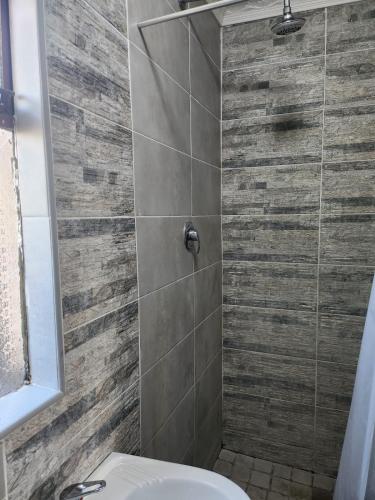 a bathroom with a shower with a toilet in it at Gift from G guesthouse in eMalahleni