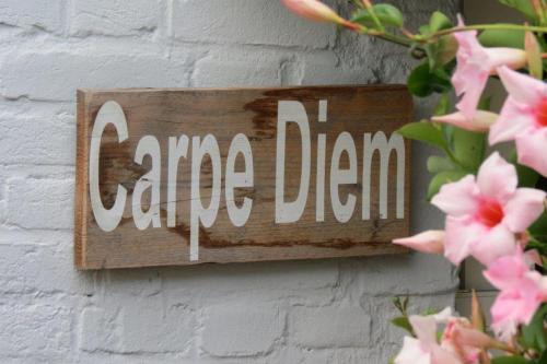 Certifikát, hodnocení, plakát nebo jiný dokument vystavený v ubytování B&B Carpe Diem