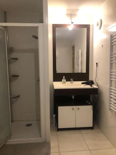 une salle de bain avec un lavabo, un miroir et une douche dans l'établissement ITER House 이터 하우스, à Aix-en-Provence