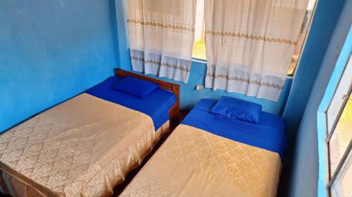 two beds in a blue room with a window at Oropendola Lodge Manu in Pillcopata