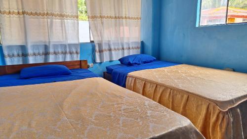 two beds in a room with blue walls at Oropendola Lodge Manu in Pillcopata