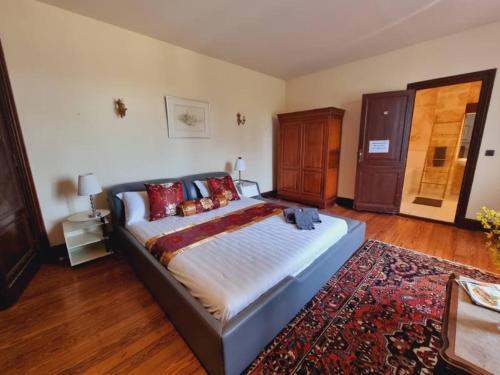 a bedroom with a large bed in a room at Château Julie in Virsac