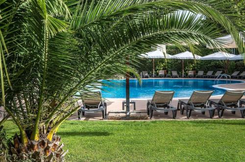 a palm tree with chairs and a swimming pool at Hotel La Giocca in Rome