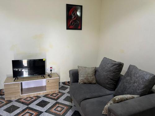 a living room with a couch and a flat screen tv at YP-Made Luxurious 1 & 2 Bedroom Apartments in Eluju