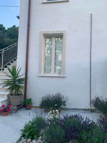 Κήπος έξω από το Tra borghi e mare - Ripatransone
