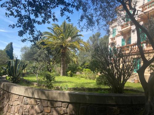un jardin avec des palmiers et un bâtiment dans l'établissement Villa Val d'Or, à Saint-Raphaël
