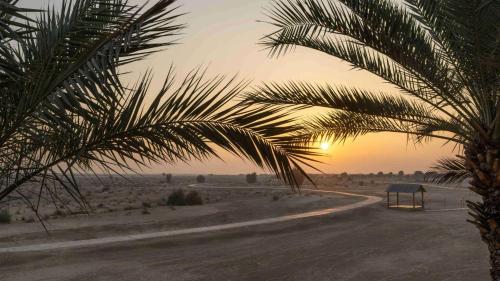 Bab Al Shams, A Rare Finds Desert Resort, Dubai — Beach