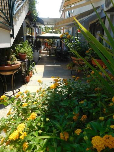 a garden with yellow flowers on a sidewalk at Hotel Blumentag in Paola