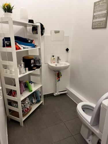 une salle de bain avec toilettes et lavabo dans l'établissement Appartement cosy de 3 pièces, à Bagneux
