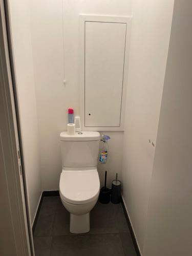 La salle de bains est pourvue de toilettes blanches et d'un miroir. dans l'établissement Paris 17, à Paris