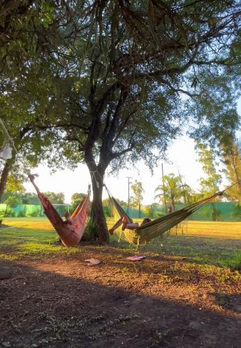 two hammocks under a tree in a park at Portal del Cachilito in Tres Marías