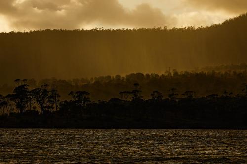 a group of trees on the shore of a body of water at St Martins of Tasmania - converted heritage listed church in Dunalley