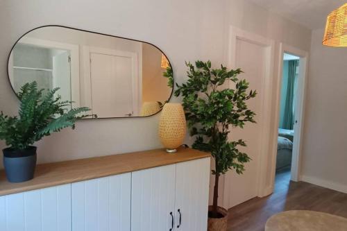 a mirror on top of a dresser with two plants at Casa América in Negreira
