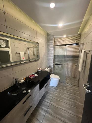 een badkamer met een wastafel, een toilet en een douche bij Elysium Luxury One Bedroom Apartment Opposite Centaurus Mall Islamabad in Islamabad