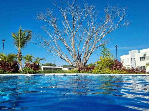 a swimming pool with a tree in the background at Increíble Casa con alberca y club de playa in Barra Vieja