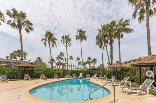 una piscina con sillas y palmeras en South Padre Island Gulf Getaway With Pool Condo, en South Padre Island
