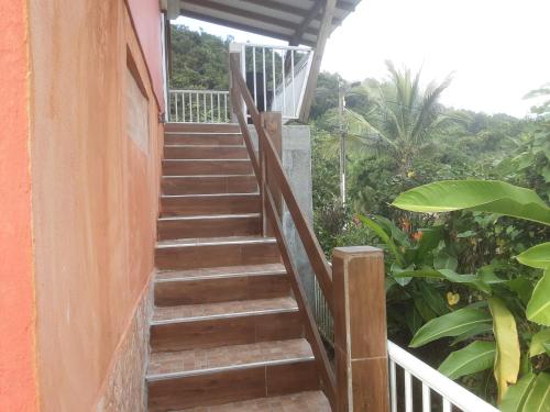 un escalier menant à un bâtiment arboré dans l'établissement Gîtes La Troisième Chute, à Capesterre-Belle-Eau