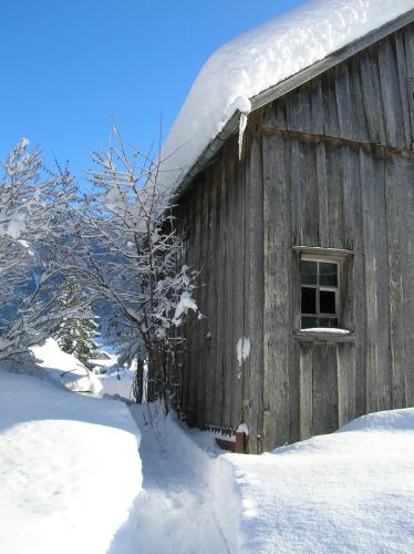 a wooden cabin with snow on the side of it at Ferienwohnung Vogt in Mellau