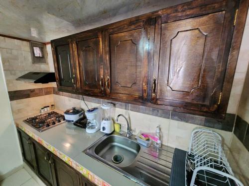 een keuken met een wastafel en houten kasten bij Casa en el centro de la ciudad in Pasto