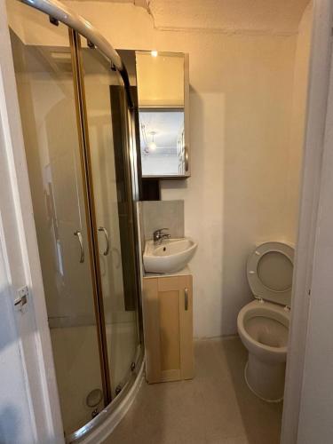 a bathroom with a shower and a sink and a toilet at The Hyde Arms in Edmonton