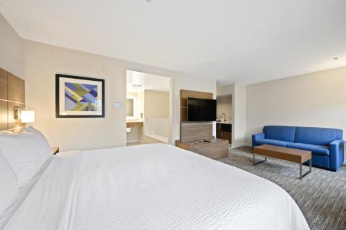薩里的住宿－Holiday Inn Express and Suites Surrey, an IHG Hotel，酒店客房配有床、沙发和电视。