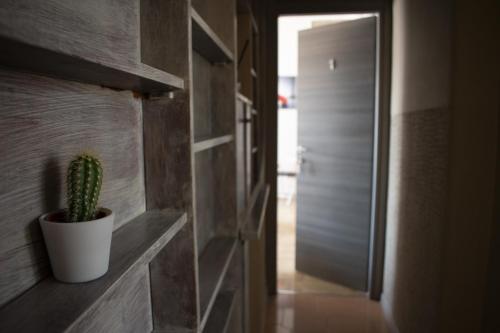 Tiziana Sicily House Apartament photo 13